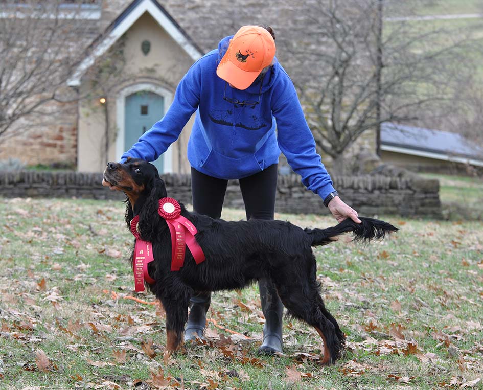 CH Munroc Lybster to Paris, JH