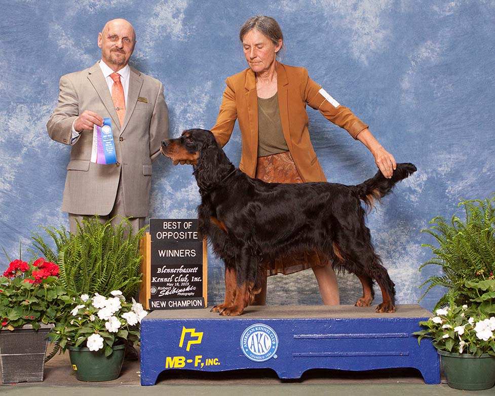 CH Munroc Lybster to Paris, JH